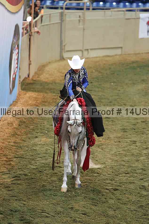 Proof 14usn_33586