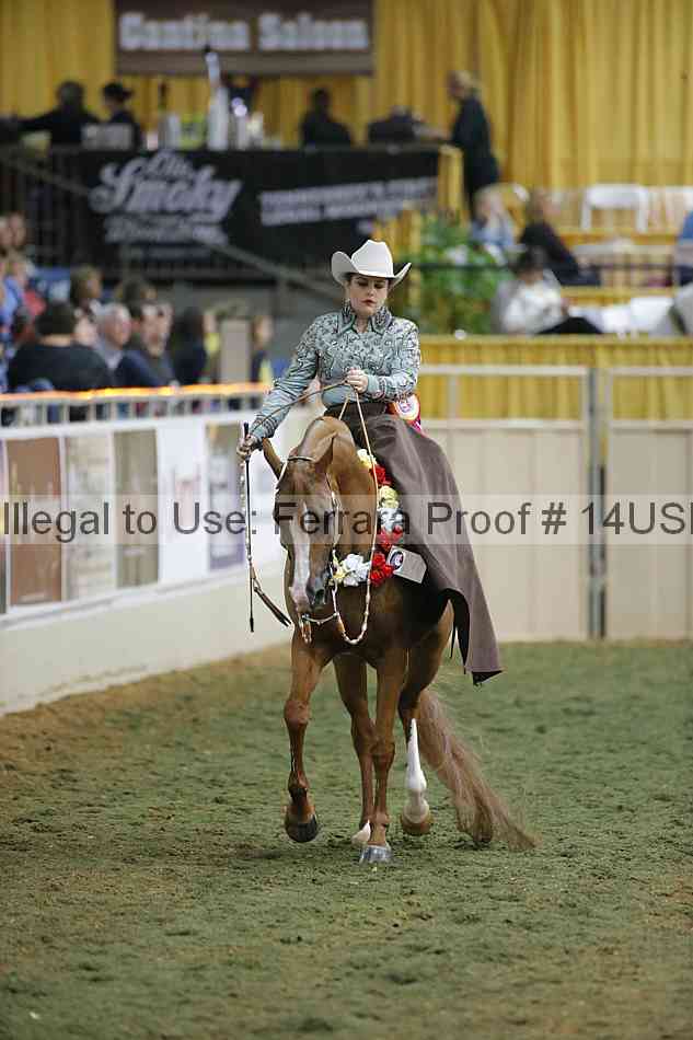 Proof 14usn_33629