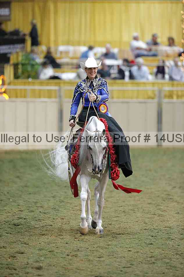 Proof 14usn_33647