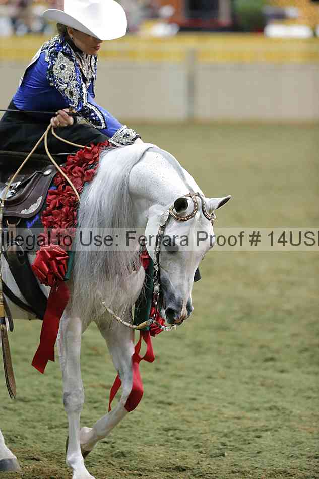 Proof 14usn_33654