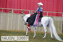 14usn_33667 proof