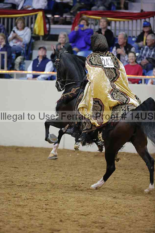 Proof 14usn_03696