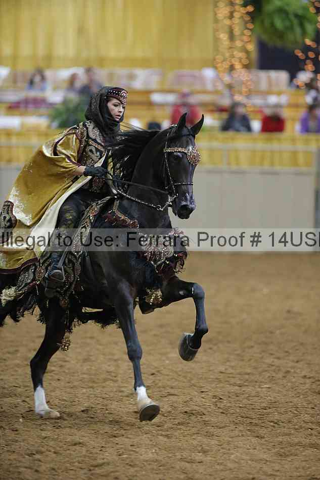 Proof 14usn_03702