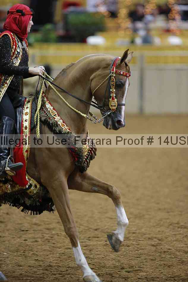 Proof 14usn_03713