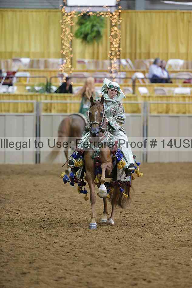 Proof 14usn_03716