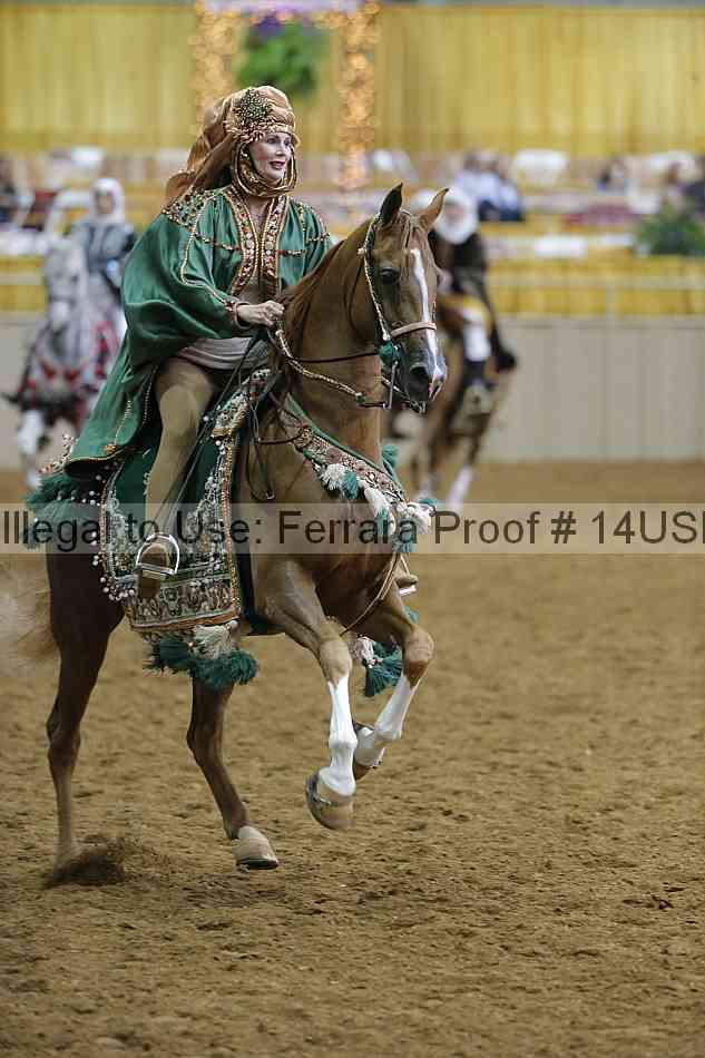 Proof 14usn_03723