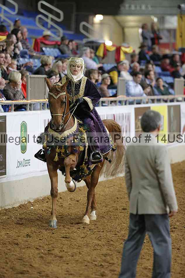 Proof 14usn_03732