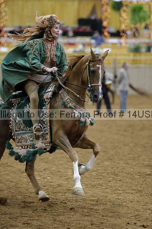 Proof 14usn_03751