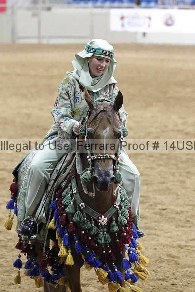 Proof 14usn_03784