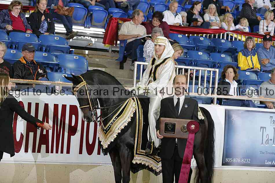 Proof 14usn_03785