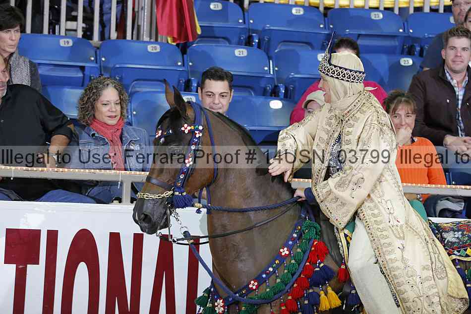 Proof 14usn_03799