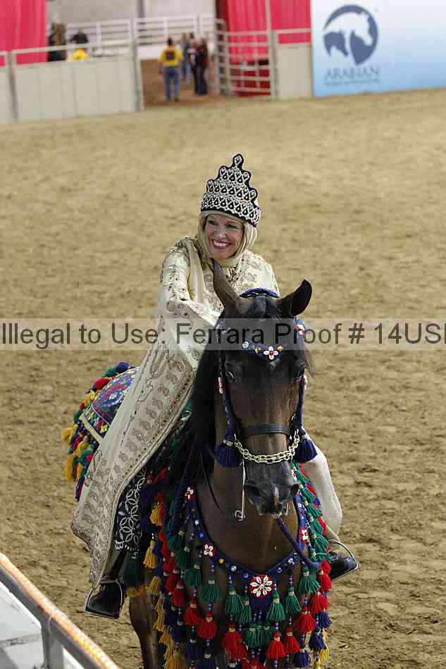 Proof 14usn_03801