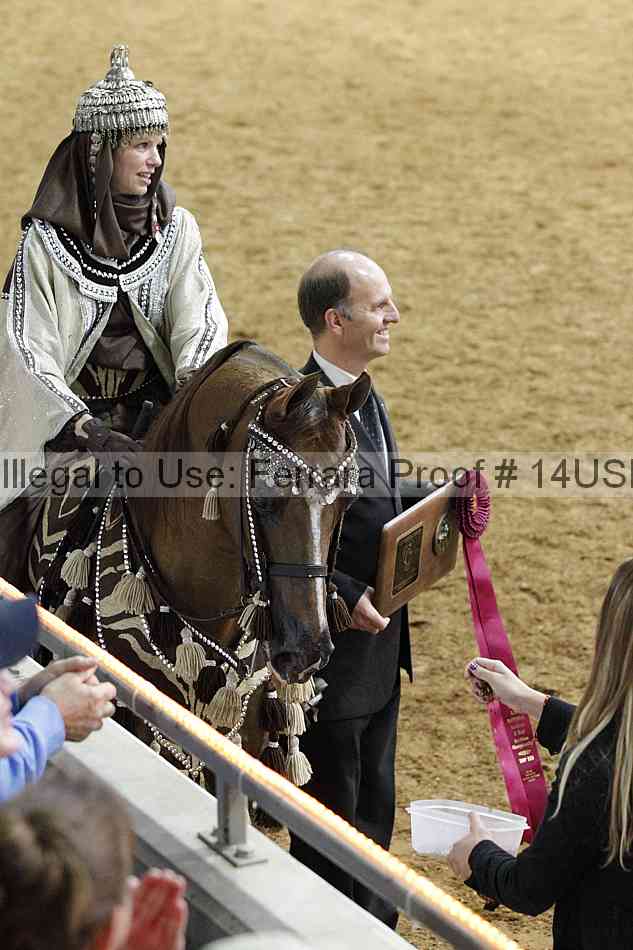 Proof 14usn_03806