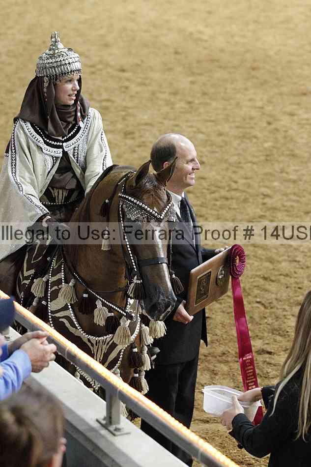Proof 14usn_03807
