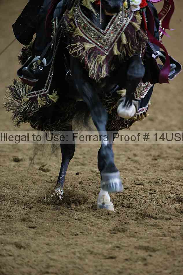 Proof 14usn_03884
