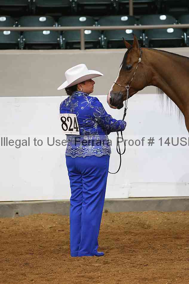 Proof 14usn_32197