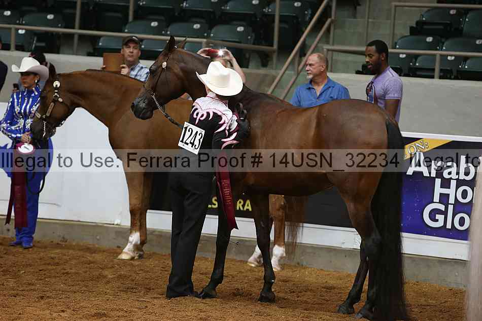 Proof 14usn_32234