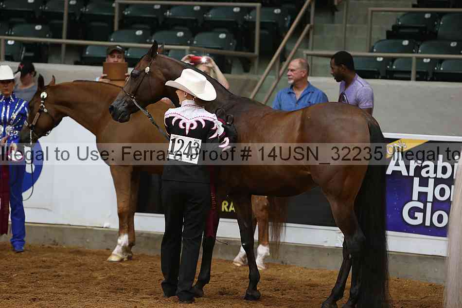 Proof 14usn_32235