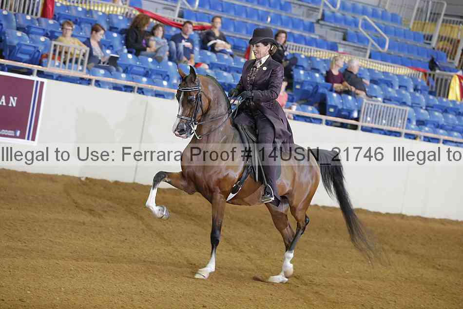 Proof 14usn_21746