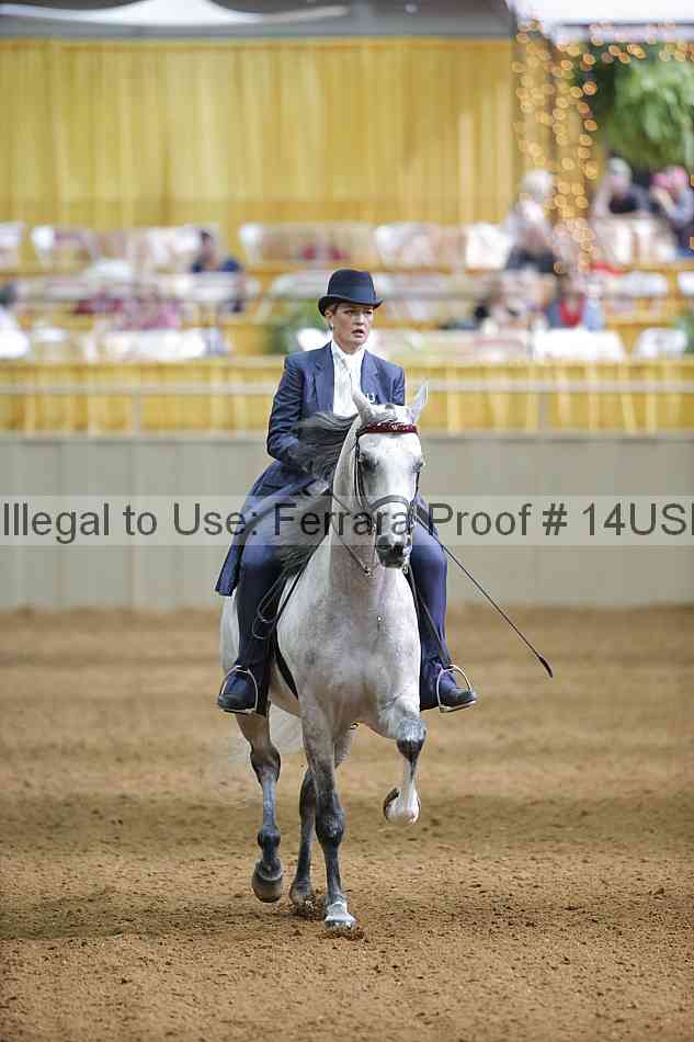 Proof 14usn_21755