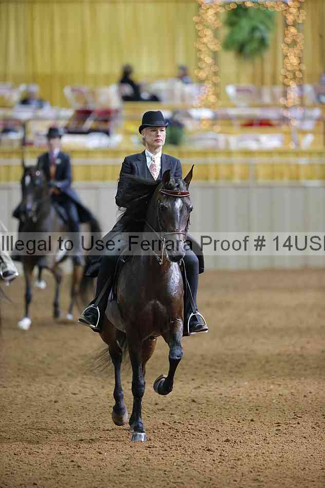 Proof 14usn_21759