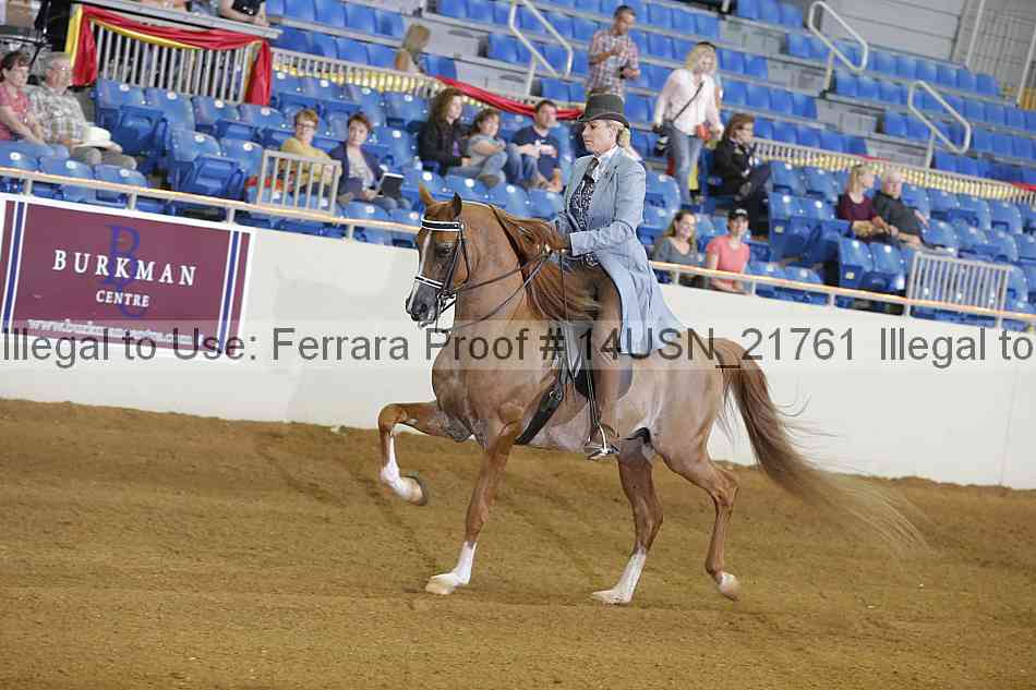 Proof 14usn_21761