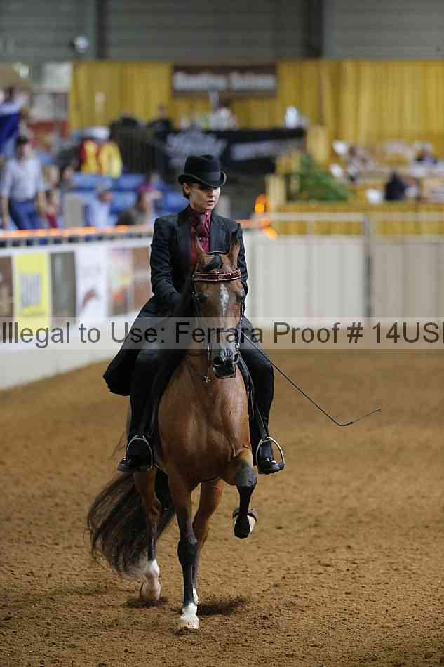 Proof 14usn_21766
