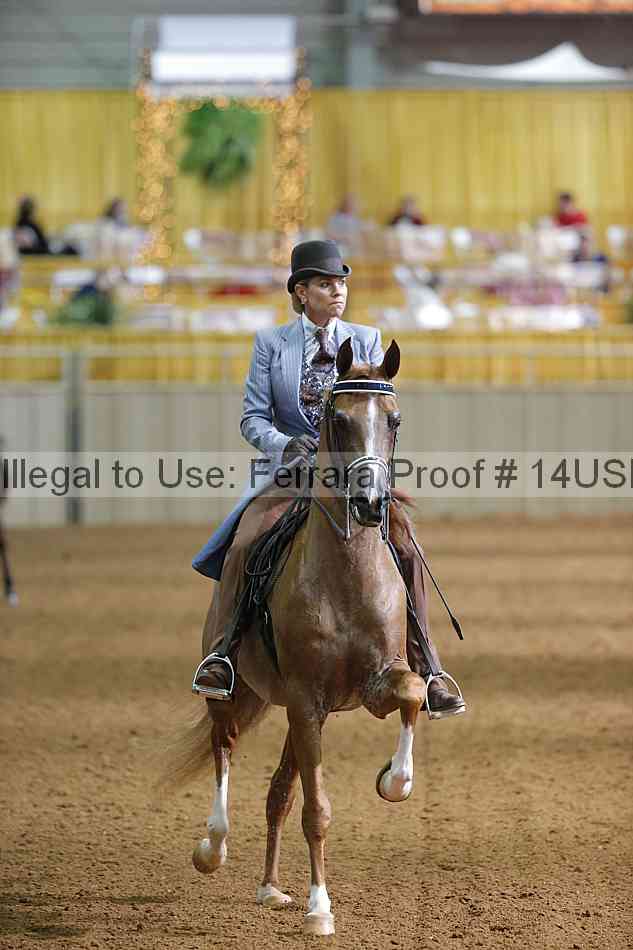 Proof 14usn_21769