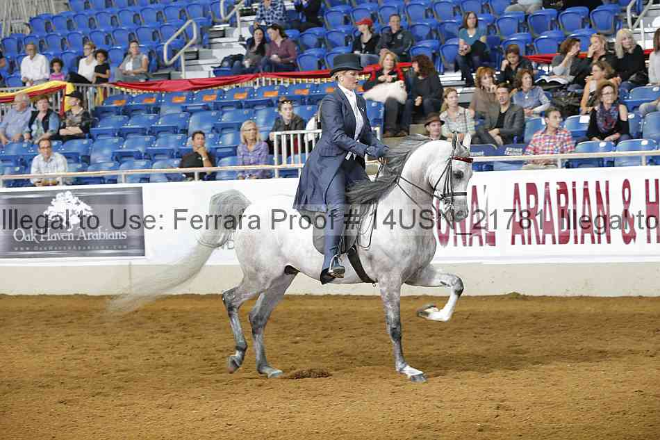 Proof 14usn_21781