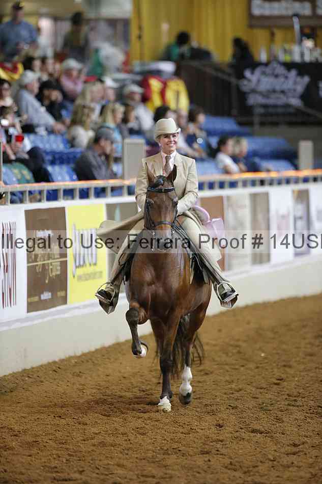 Proof 14usn_21797