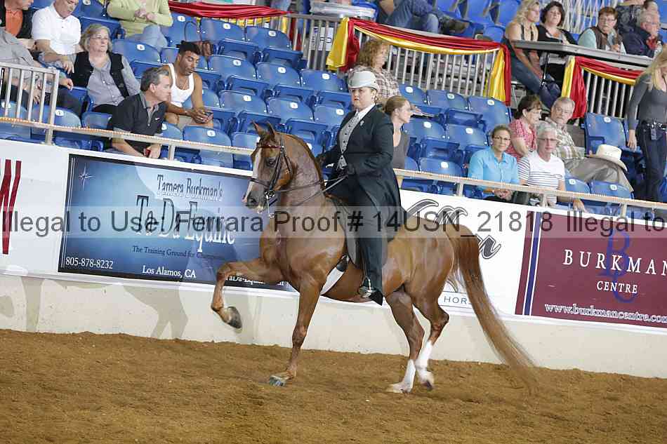 Proof 14usn_21818