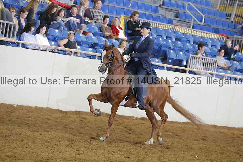Proof 14usn_21825