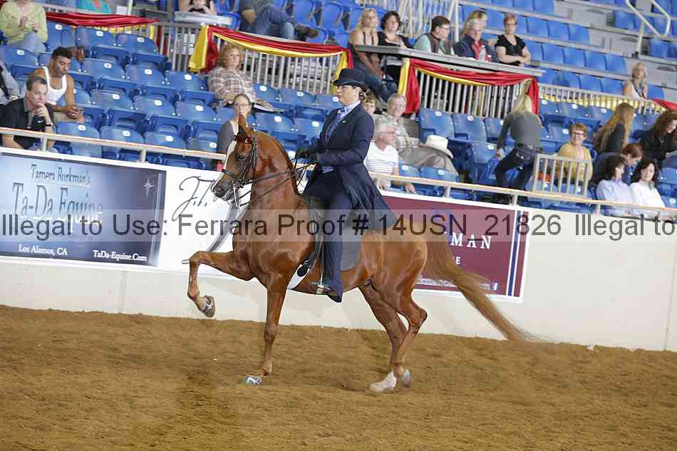 Proof 14usn_21826