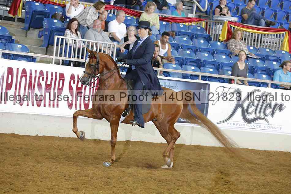 Proof 14usn_21828