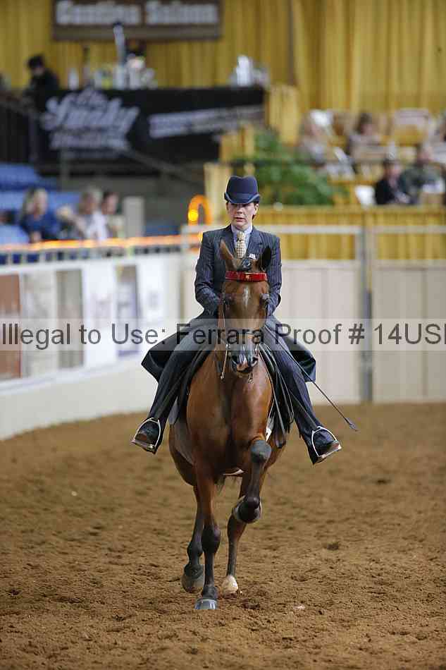 Proof 14usn_21829