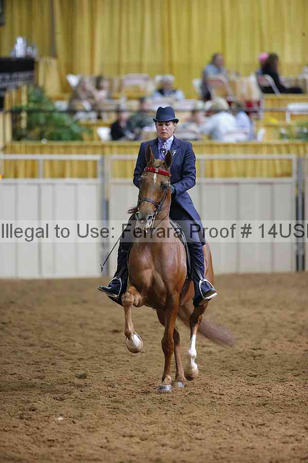 Proof 14usn_21831