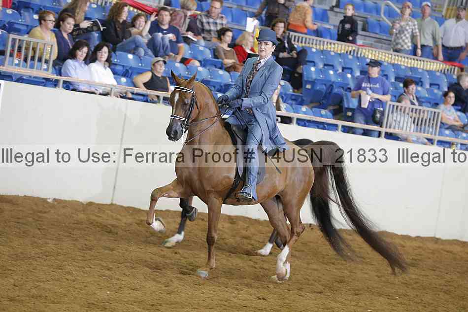 Proof 14usn_21833