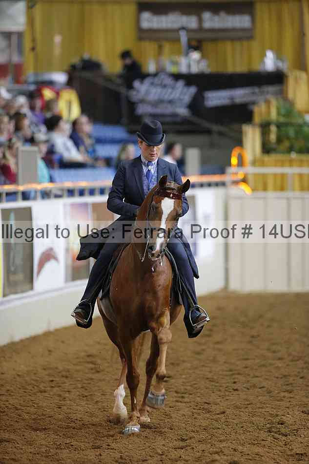 Proof 14usn_21834
