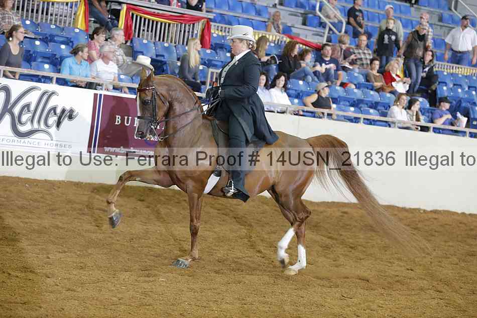 Proof 14usn_21836