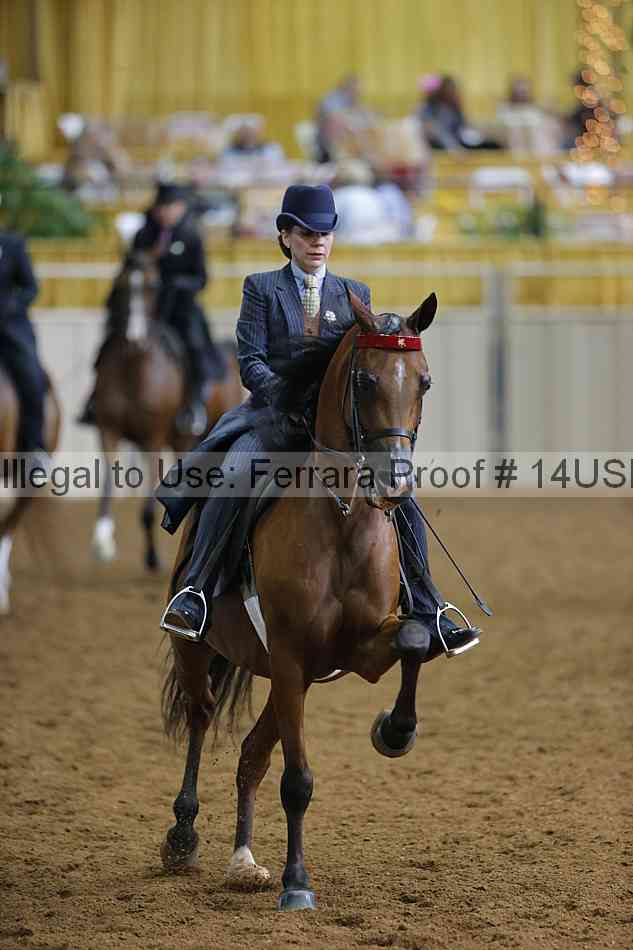 Proof 14usn_21844