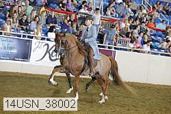 14usn_38002 proof