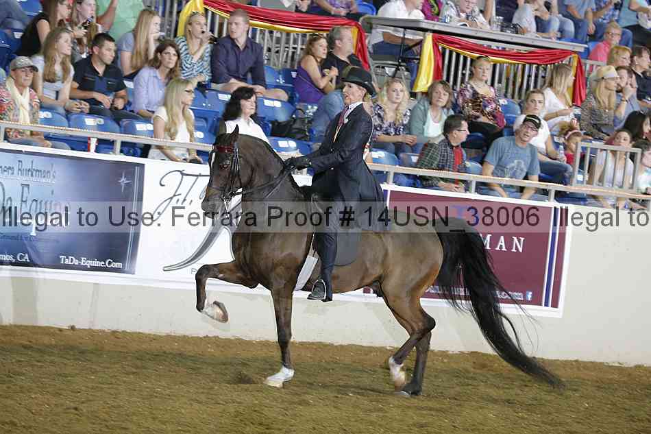 Proof 14usn_38006