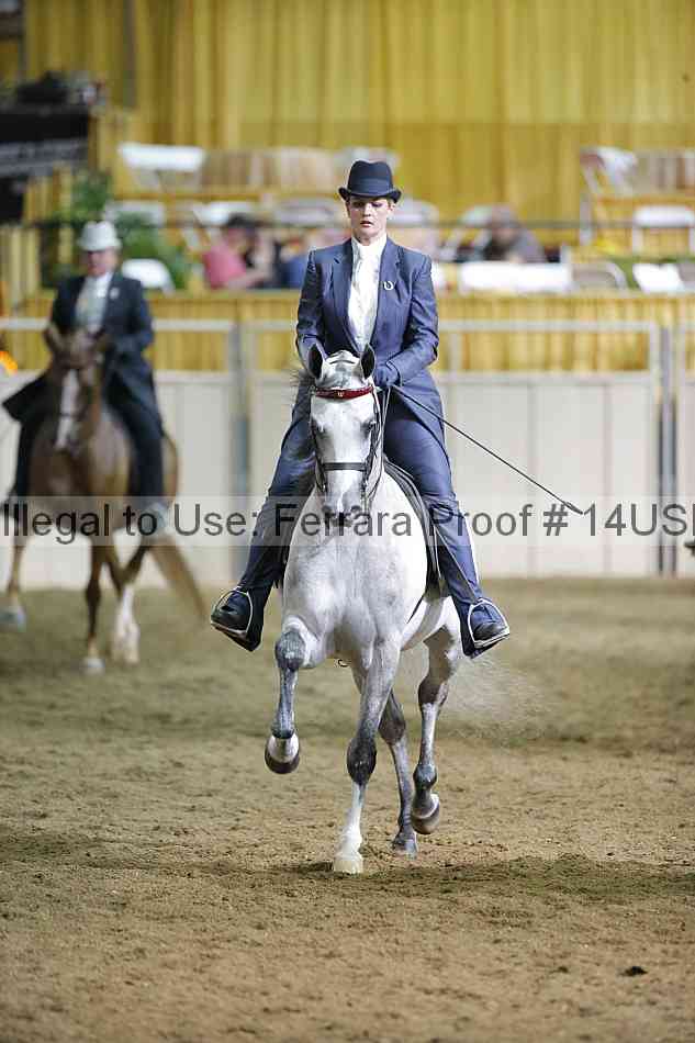 Proof 14usn_38010