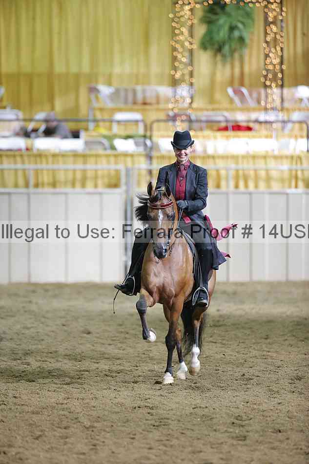 Proof 14usn_38029