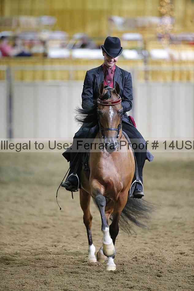 Proof 14usn_38030