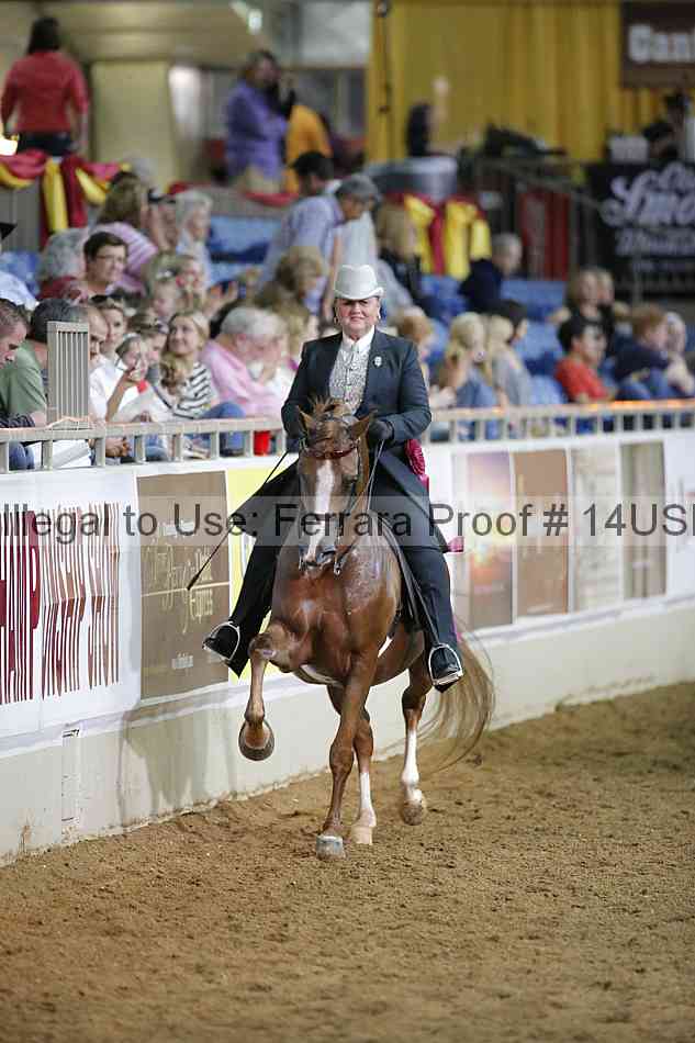 Proof 14usn_38082