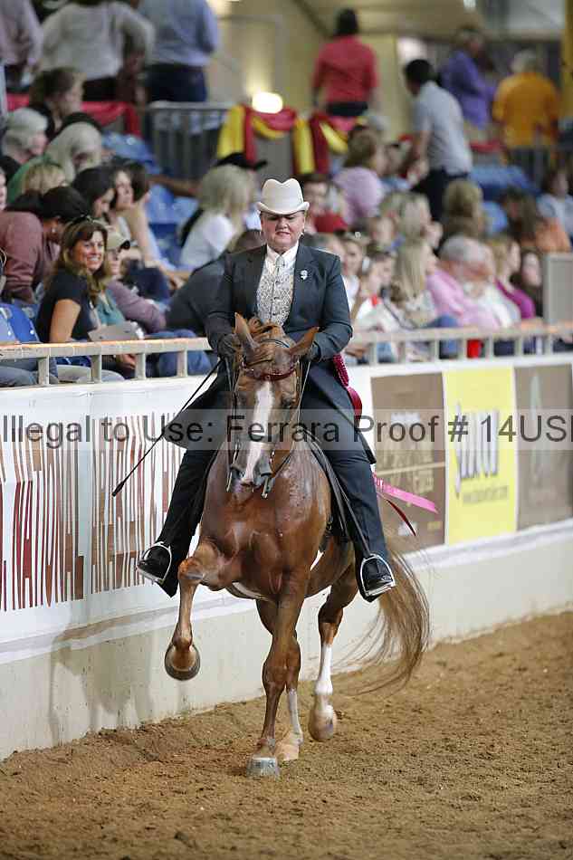 Proof 14usn_38083