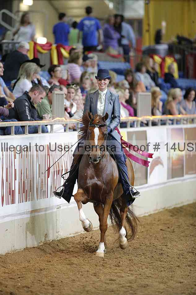 Proof 14usn_38090