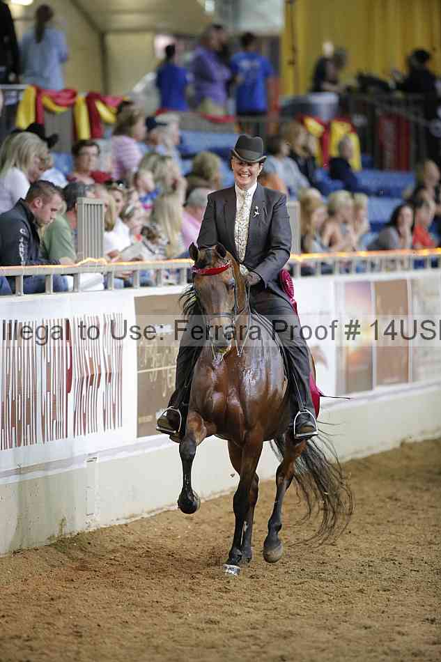 Proof 14usn_38096