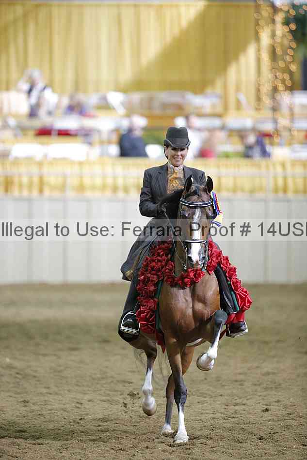 Proof 14usn_38112